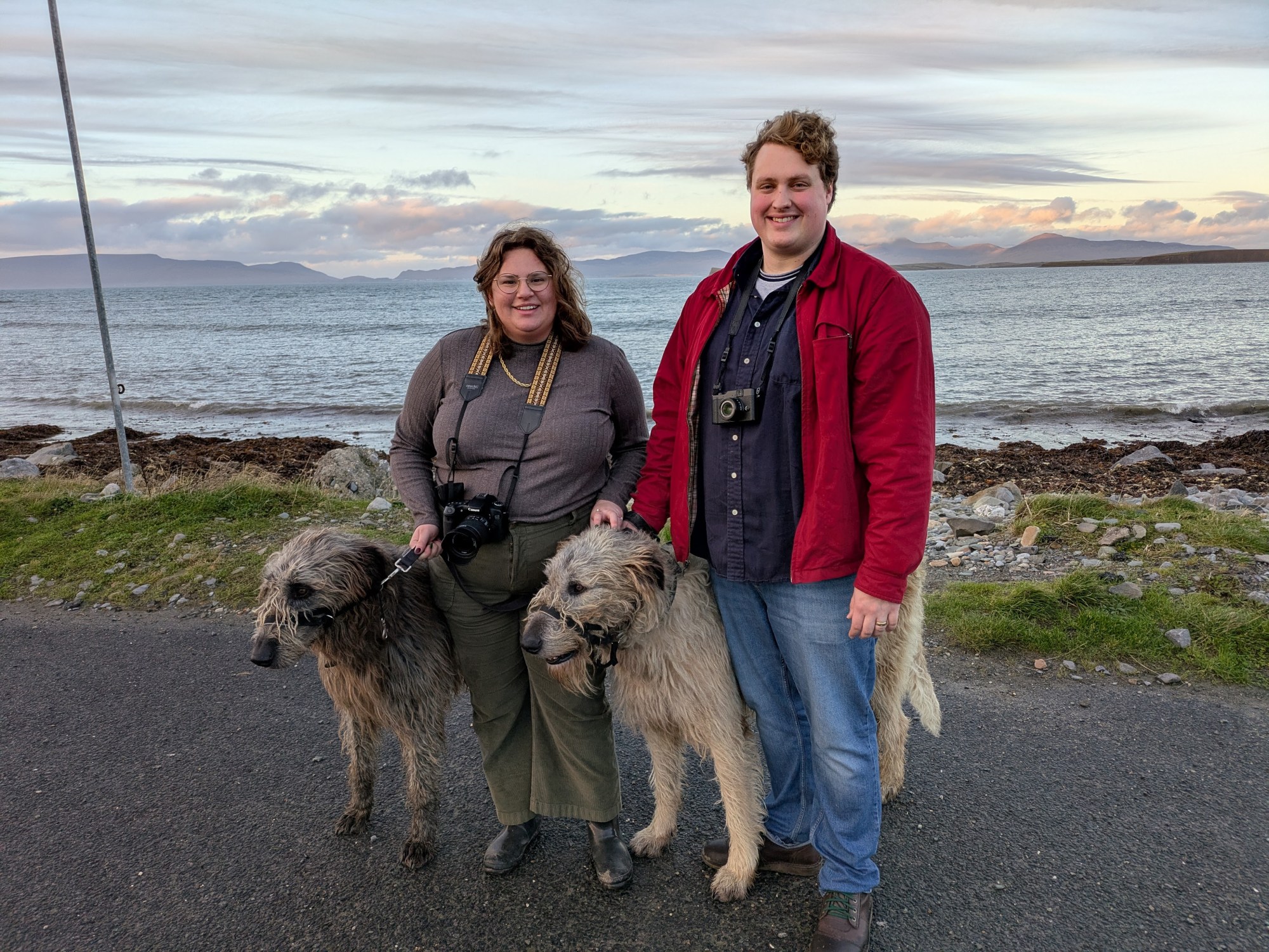 A happy couple holds the leash of two Irish wolf hounds. The dogs come up to their hips. 
